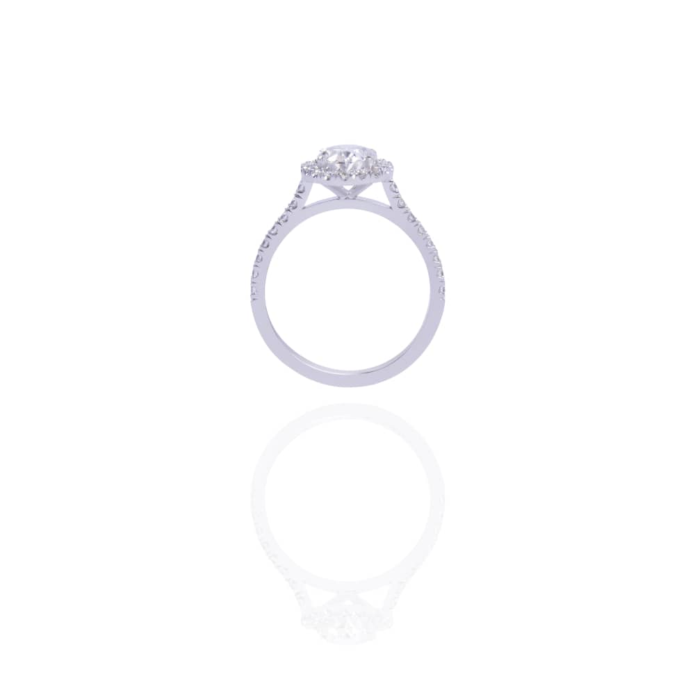 The Oval Halo