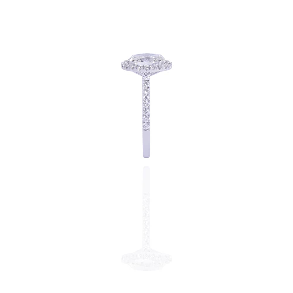 The Oval Halo