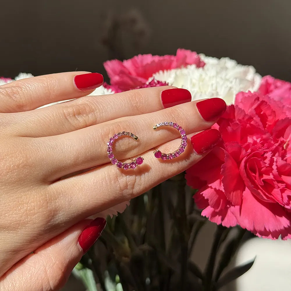 Dégradé de Ruby Hoops